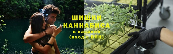 ПСИЛОЦИБИНОВЫЕ ГРИБЫ Арсеньев