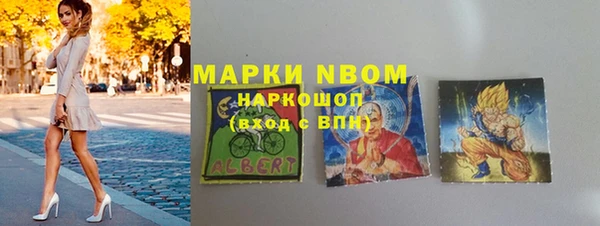 ПСИЛОЦИБИНОВЫЕ ГРИБЫ Арсеньев
