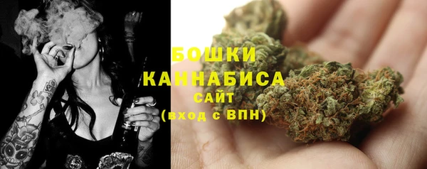 ПСИЛОЦИБИНОВЫЕ ГРИБЫ Арсеньев