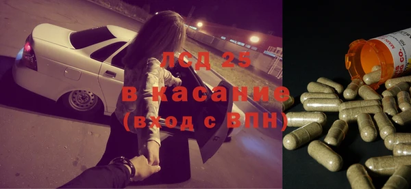 ПСИЛОЦИБИНОВЫЕ ГРИБЫ Арсеньев