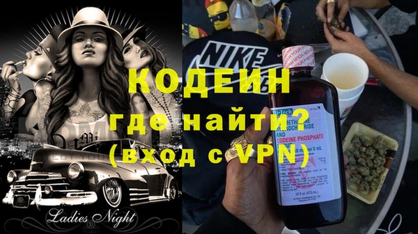 ПСИЛОЦИБИНОВЫЕ ГРИБЫ Арсеньев