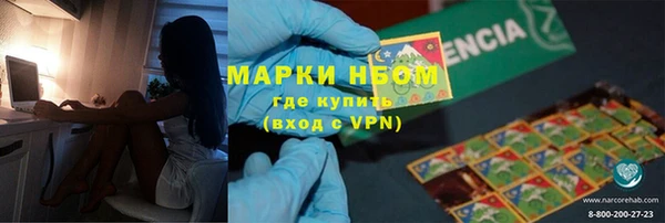 ПСИЛОЦИБИНОВЫЕ ГРИБЫ Арсеньев