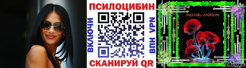 кракен онион  Изобильный  Галлюциногенные грибы Cubensis 